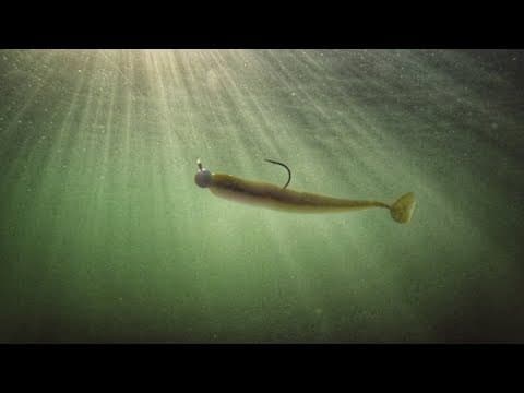 A Simple and Deadly Approach to Fishing Swimbaits