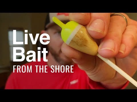 Fishing with Live Bait from Shore with a Slip Bobber