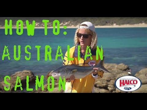 HOW TO: Catch Australian Salmon