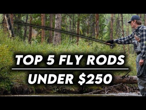 The Top 5 Fly Fishing Rods For Under $250! Buying Guide