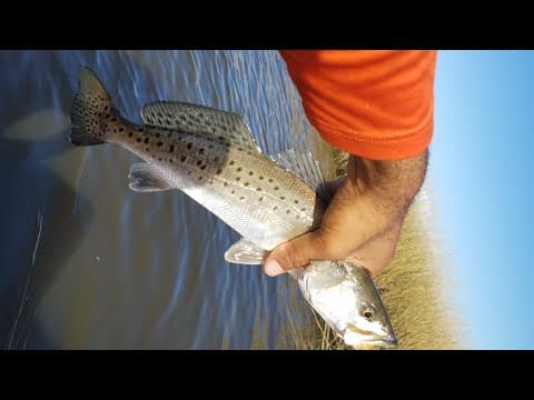 Kayak Fishing Lake Hermitage