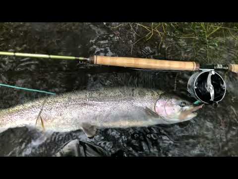 Fishing Alaska? Don’t do THIS