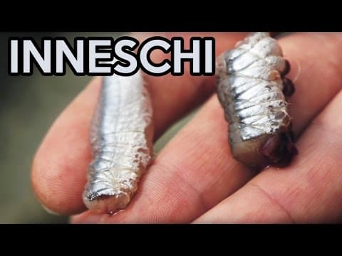 2 INNESCHI DA PESCA con L&#39;ACCIUGA o ALICE (inneschi per pesca in mare da terra... ma anche da barca)