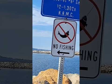 These signs lead to the best fishing spots!