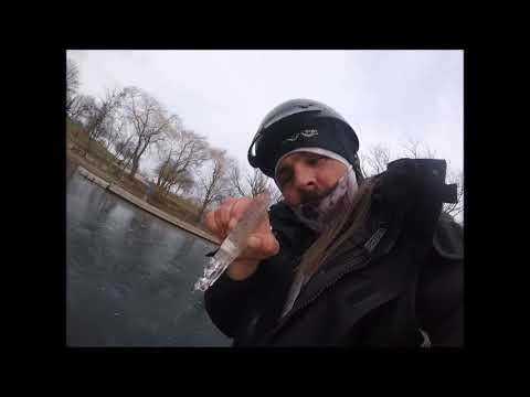 Hamilton Harbor Ice Report Jan 10 2021 and Fishing License address switch