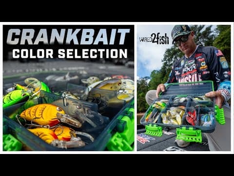 Mastering The Art Of Selecting Crankbait Colors!