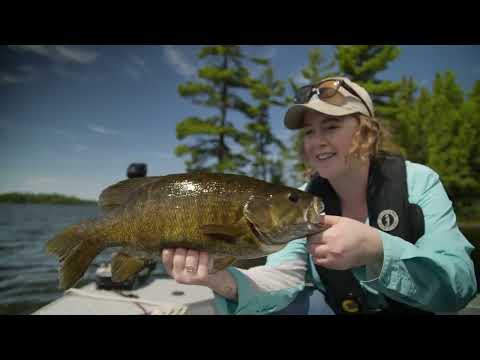 Shallow Water Fishing for Bass, Pike and Musky