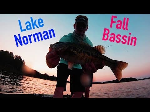 Lake Norman Fall Bass Fishing