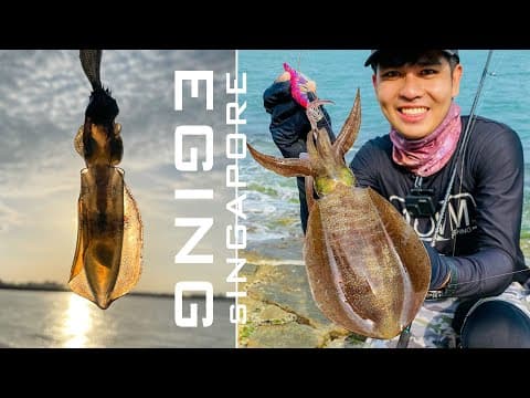 How to catch Squid? | Singapore Eging | Marina South Pier Fishing