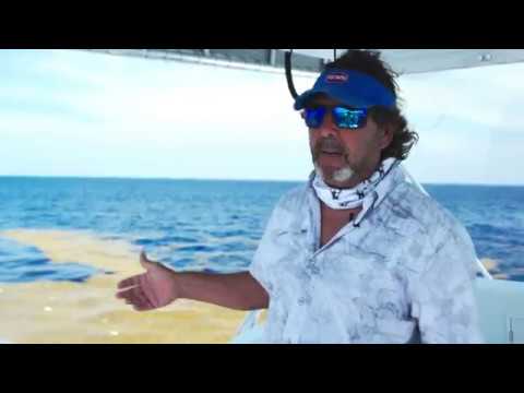 Top 3 Mahi-Mahi Fishing Mistakes (With Peter Miller & Captain Q)