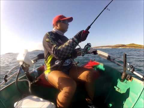 Ilha  do Gavião - Gaeta Fishing