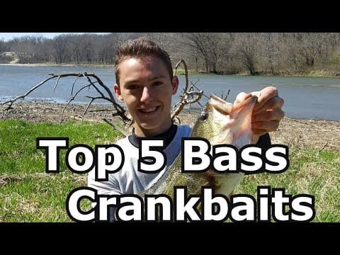 Best 5 Crankbaits for Bass Fishing - Tips and Techniques