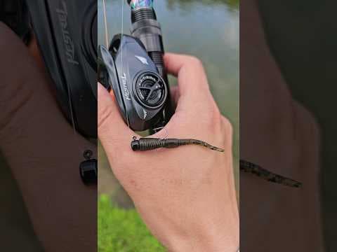 Ultralight Baitcasting Reel Casts Z-Man Micro WormZ (BFS Fishing)