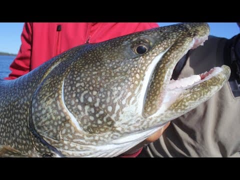 Lake Trout Jigging Techniques That Guides Don't Want You to Know!