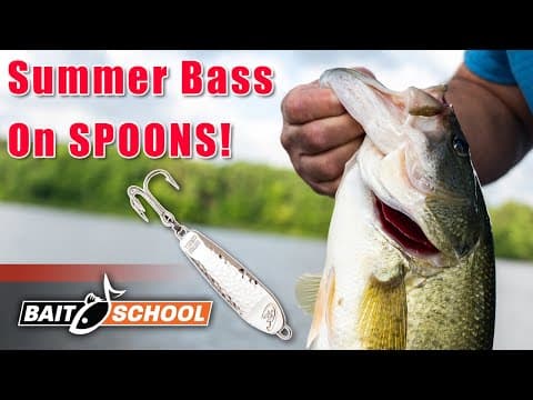 How To Fish a Jigging Spoon for Late Summer Bass - Bait School