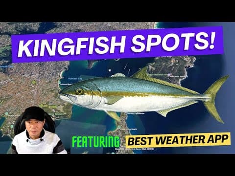 KINGFISH Spots! Where to catch them!