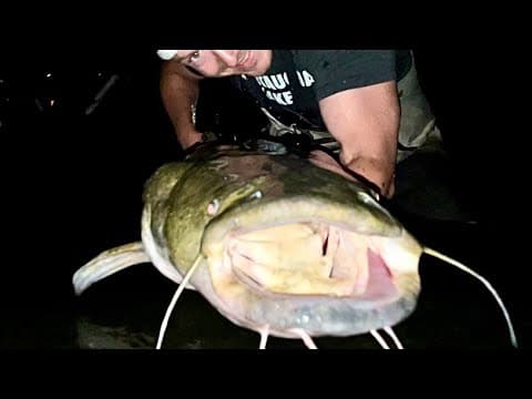 Pittsburgh GIANT CATFISH From Shore!