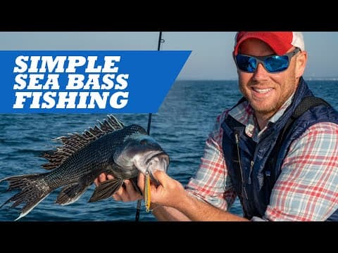 Simple Sea Bass Fishing