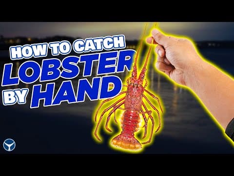 LOBSTERING IN CALIFORNIA - How to Catch Lobster by Hand [Catch & Cook]