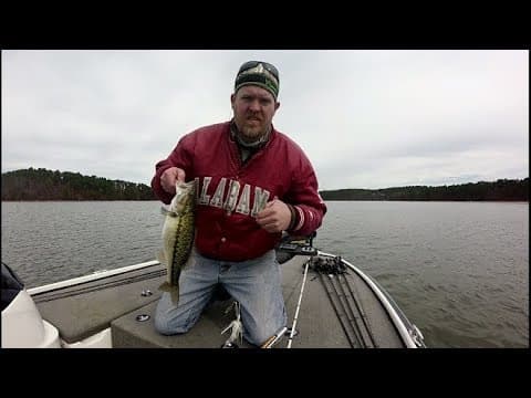 Bass Fishing Lake Martin February 2019: Mean Bass Baits First Trip of the Year