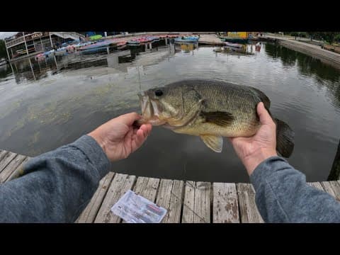 Fishing top water at Dow’s lake Ottawa Ontario !!!