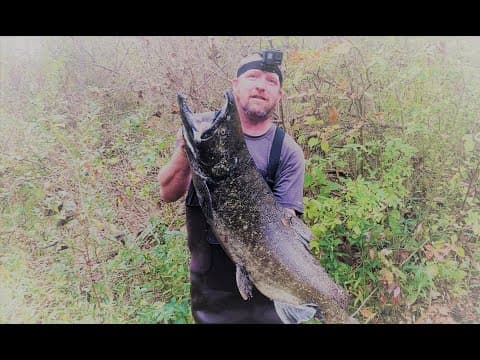 OHIO boys go SALMON Fishing in Michigan, Tippy Dam