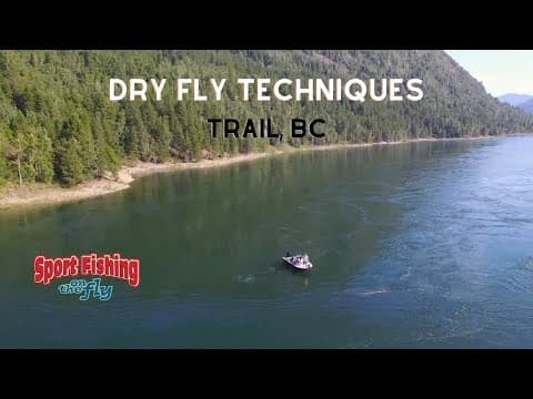 FLY FISHING: DRY FLY TECHNIQUES