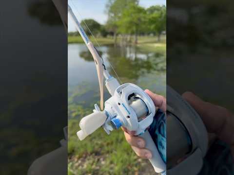 Testing out the $80 Kastking Centron Lite Baitcaster combo #fishing