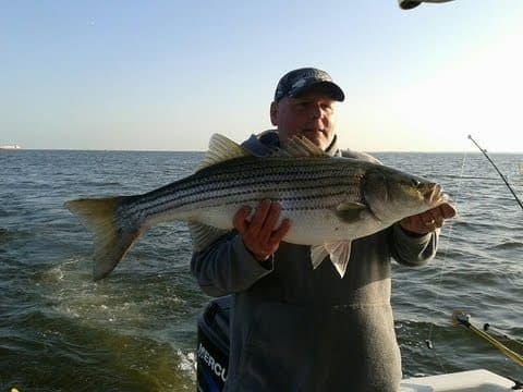Striped bass Fishing , Rockfishing in Maryland