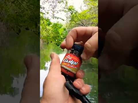 😳Best Bluegill Bait?! 😮