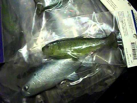Huddleston deluxe baits!!
