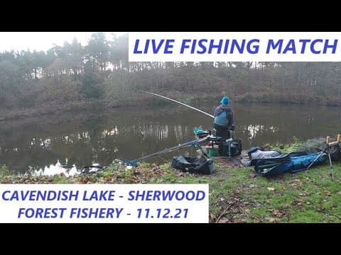 LIVE FISHING MATCH - CAVENDISH LAKE - Sherwood Forest - New Owners - Winter Silvers - 11.12.21