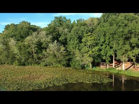Tippett&#39;s Mill Pond - Spark