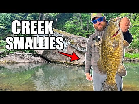 CREEK FISHING for BIG SMALLMOUTH BASS - Ohio River Tributary