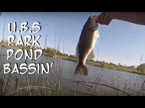 Sacramento park  Pond Fishing