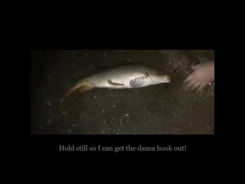 Carp Fishing Nimisila Reservoir Akron OH...