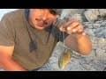 How To Hook Live Bait