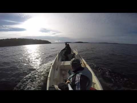 Fishing Finland (Suomi). Saimaa lake /// Рыбалка в Финляндии. Озеро Сайма