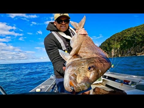 SOLO Fishing for BIG aggressive snapper