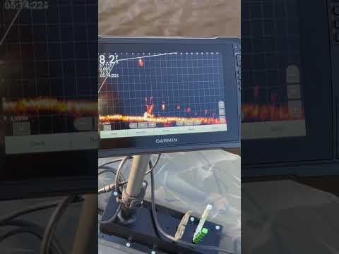 Garmin live scope footage ￼