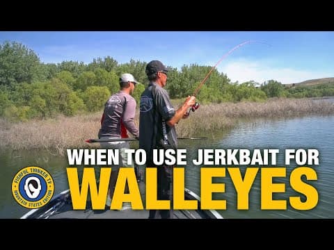 When To Use a Jerkbait for Walleyes?