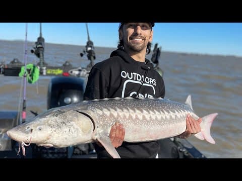 California Delta Fishing OVERSIZE Sturgeon & Striper LIMITS! (How I prep bait/gear for sturgeon)