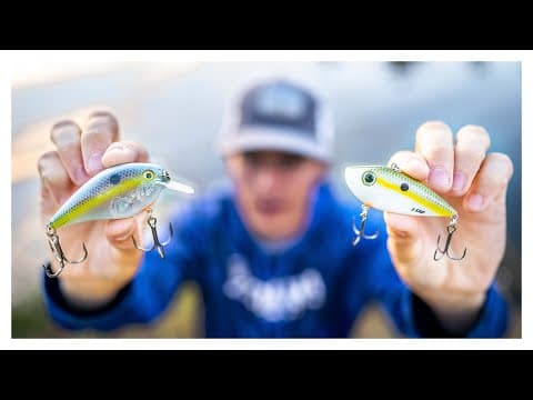 Fishing A LIPLESS CRANK vs. SQUAREBILL CRANK (Which One Is BEST??)