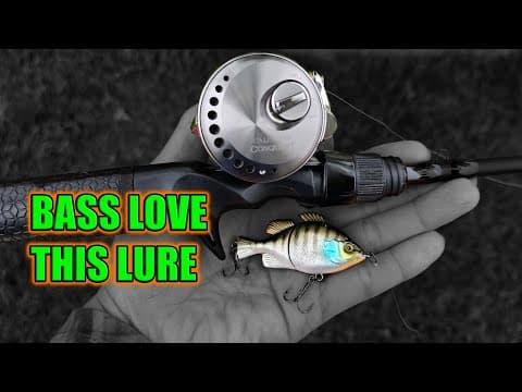 Pond Bass Goes Crazy For This Mini Swimbait