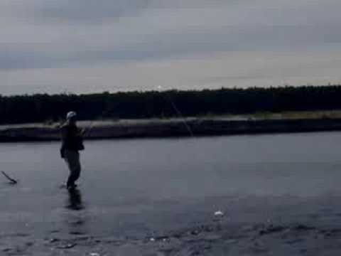 Fly Fishing for Silver Salmon -- Susitna River Alaska