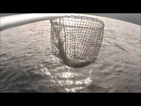 Dawn Trolling for Lake George Lakers!