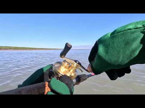 [Vol. 191] The best land based barramundi fishing with 8&#39;6&quot; rod in dry season