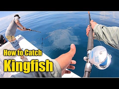 How to Catch Kingfish (Tips Bait Gear Explained)