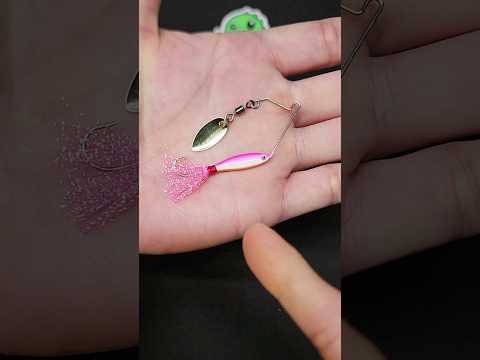 Check out this Micro Spinnerbait for BFS Fishing from Dynamic Lures #fishing #fishingvideo #shorts