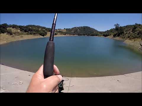 Guadalupe Reservoir &quot;The carp episode&quot;